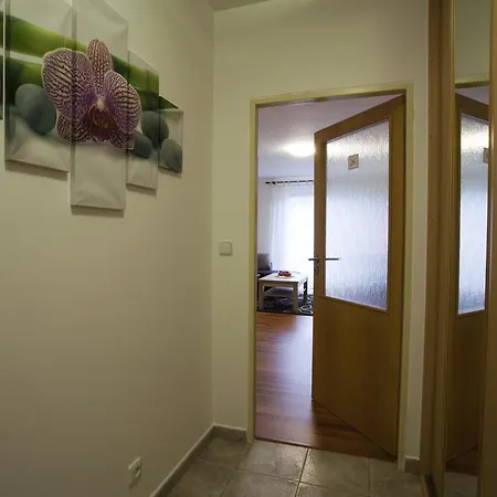 Spacious Flat *