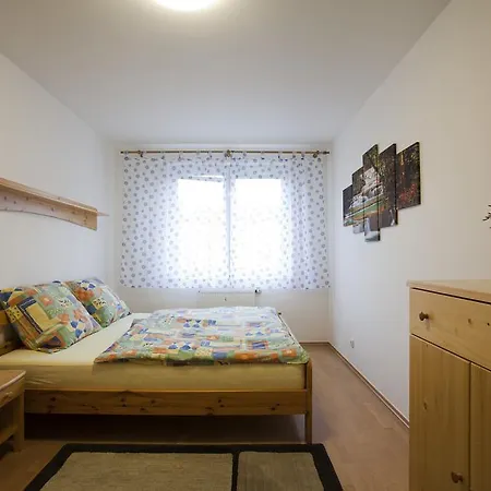 Spacious Flat * Prague