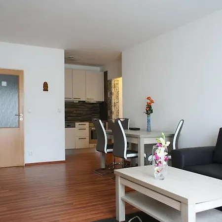 Spacious Flat * פראג